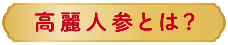 高麗人参とは？