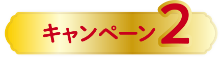 キャンペーン２