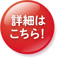 詳細はこちら！