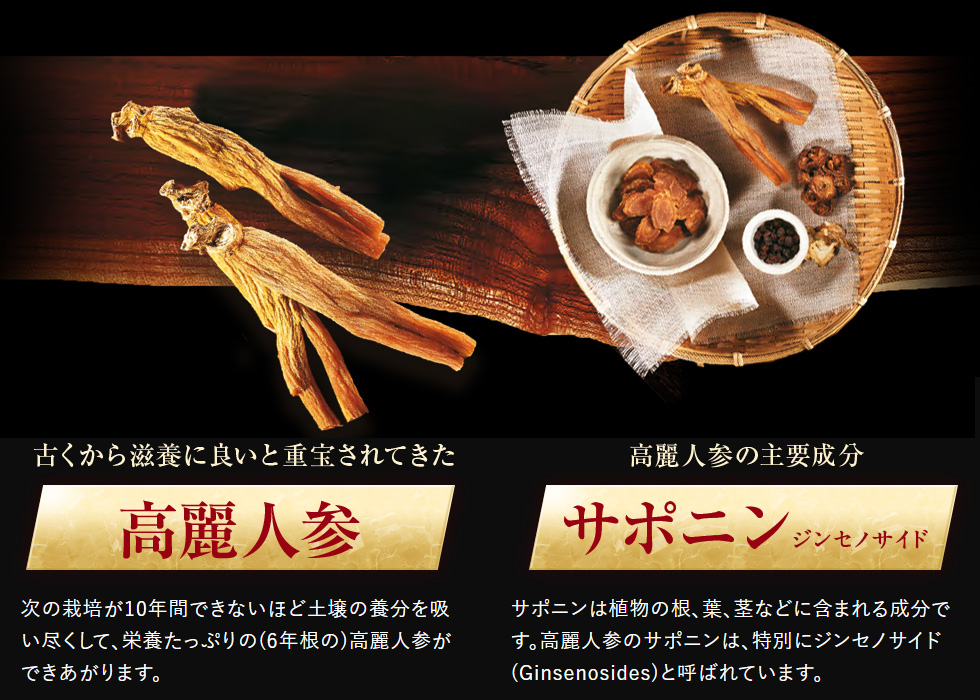 古くから滋養に良いと重宝されてきた高麗人参
