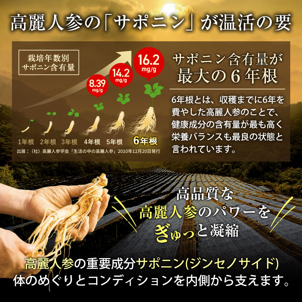 高麗人参のサポニンが温活の要