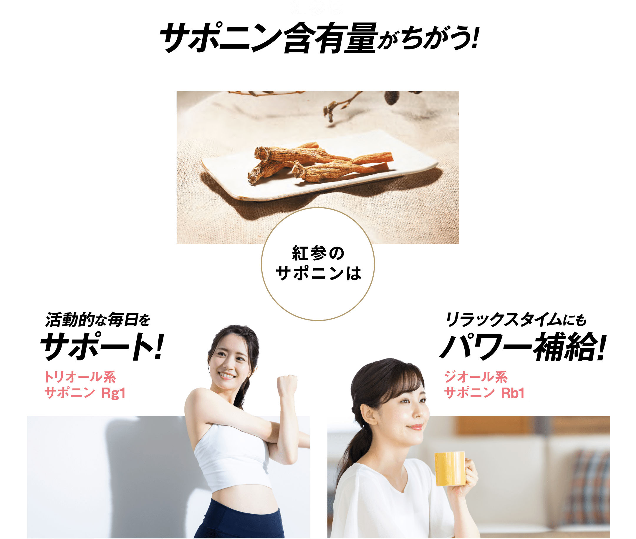 紅参はサポニン含有量がちがう!