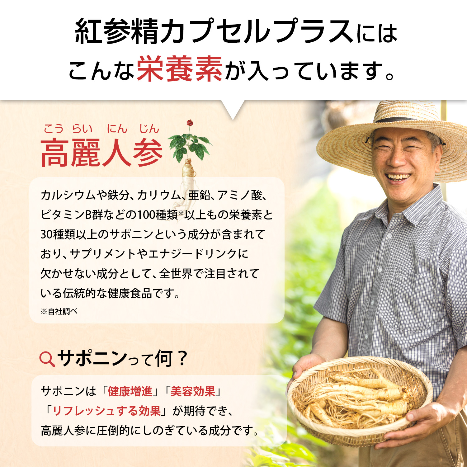 紅参精カプセルプラス