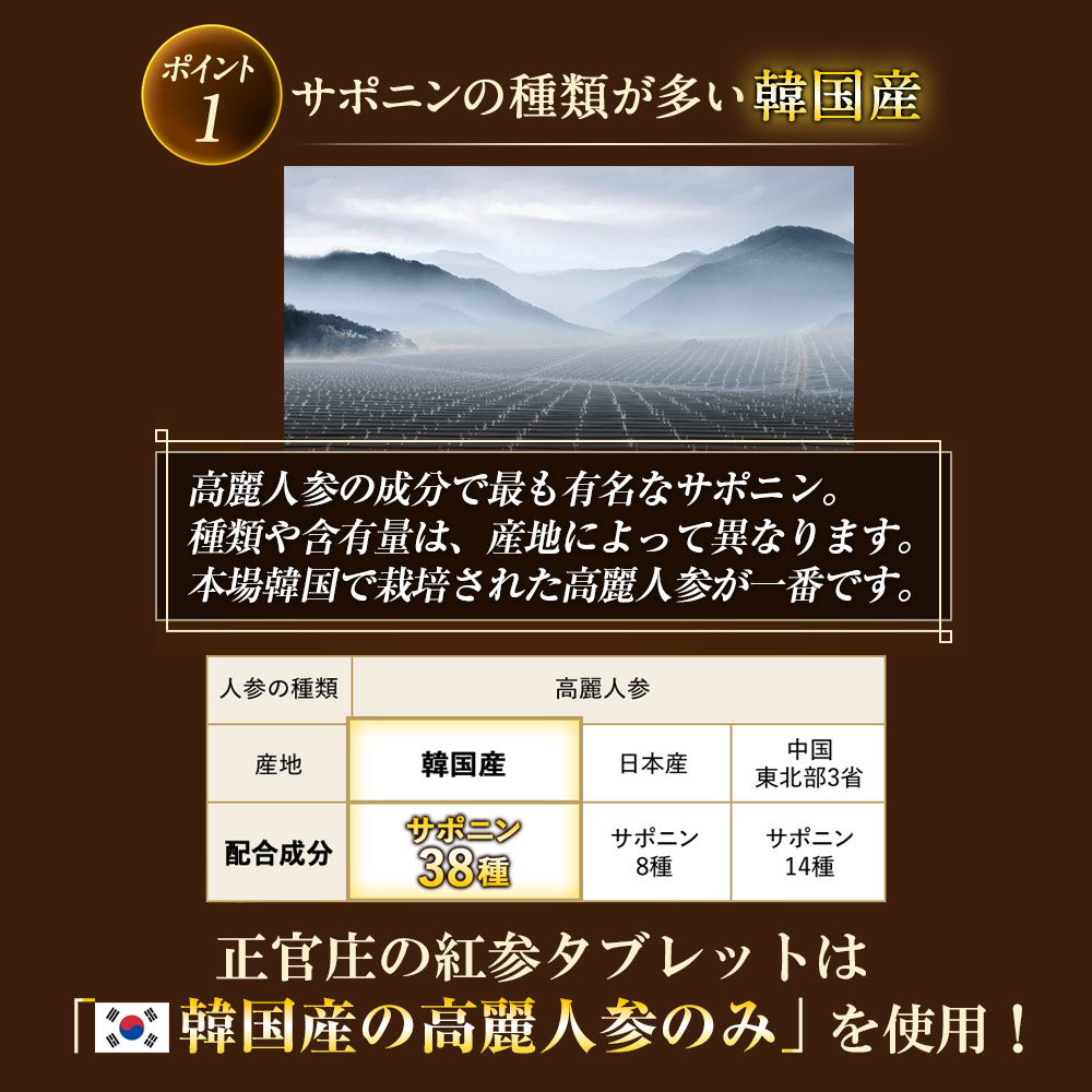【ワンコイン体験版】紅参タブレット 28粒