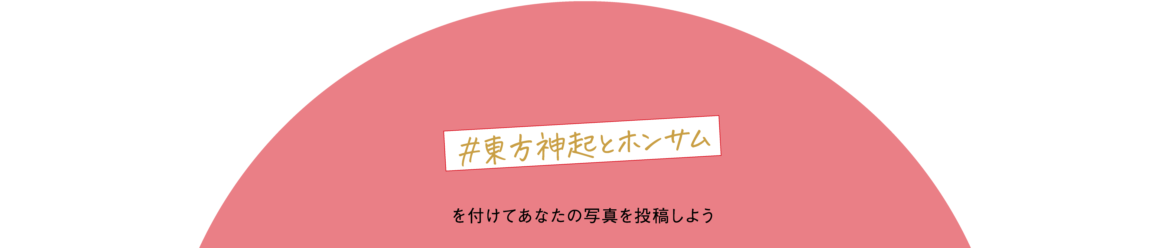 東方神起とホンサム