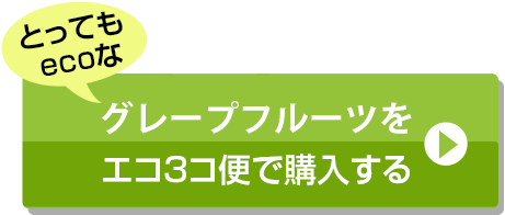 この商品を購入する