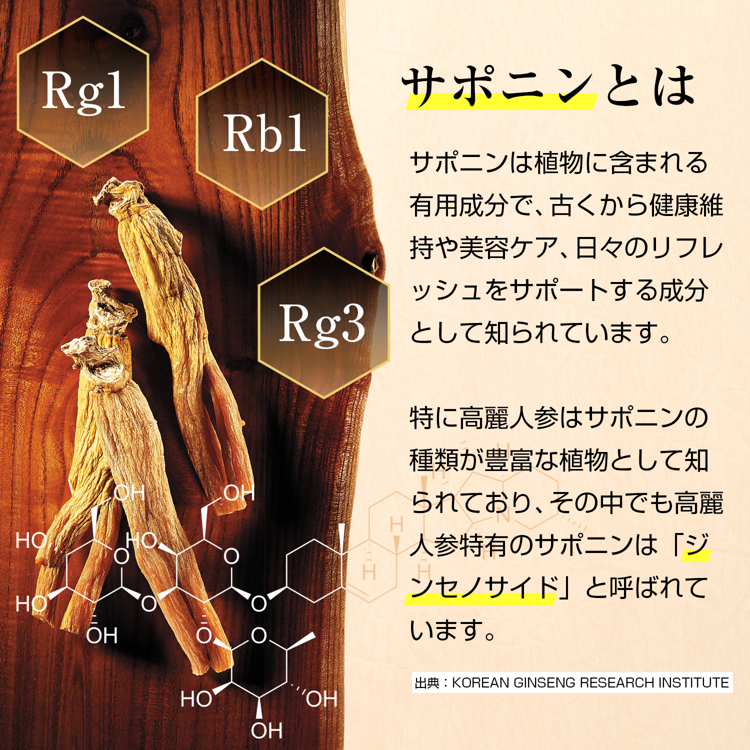 紅参精エブリタイムザクロ 