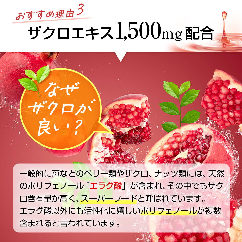 紅参精エブリタイムザクロ