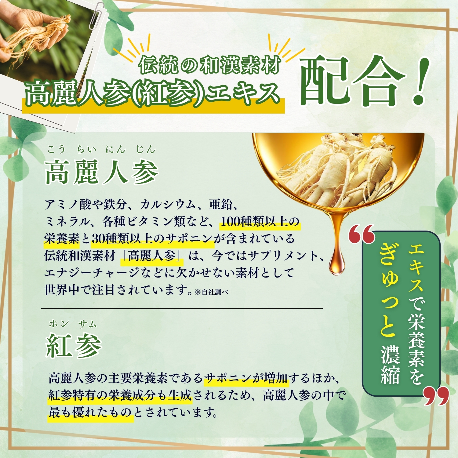 ザクロ・紅参(ホンサム)