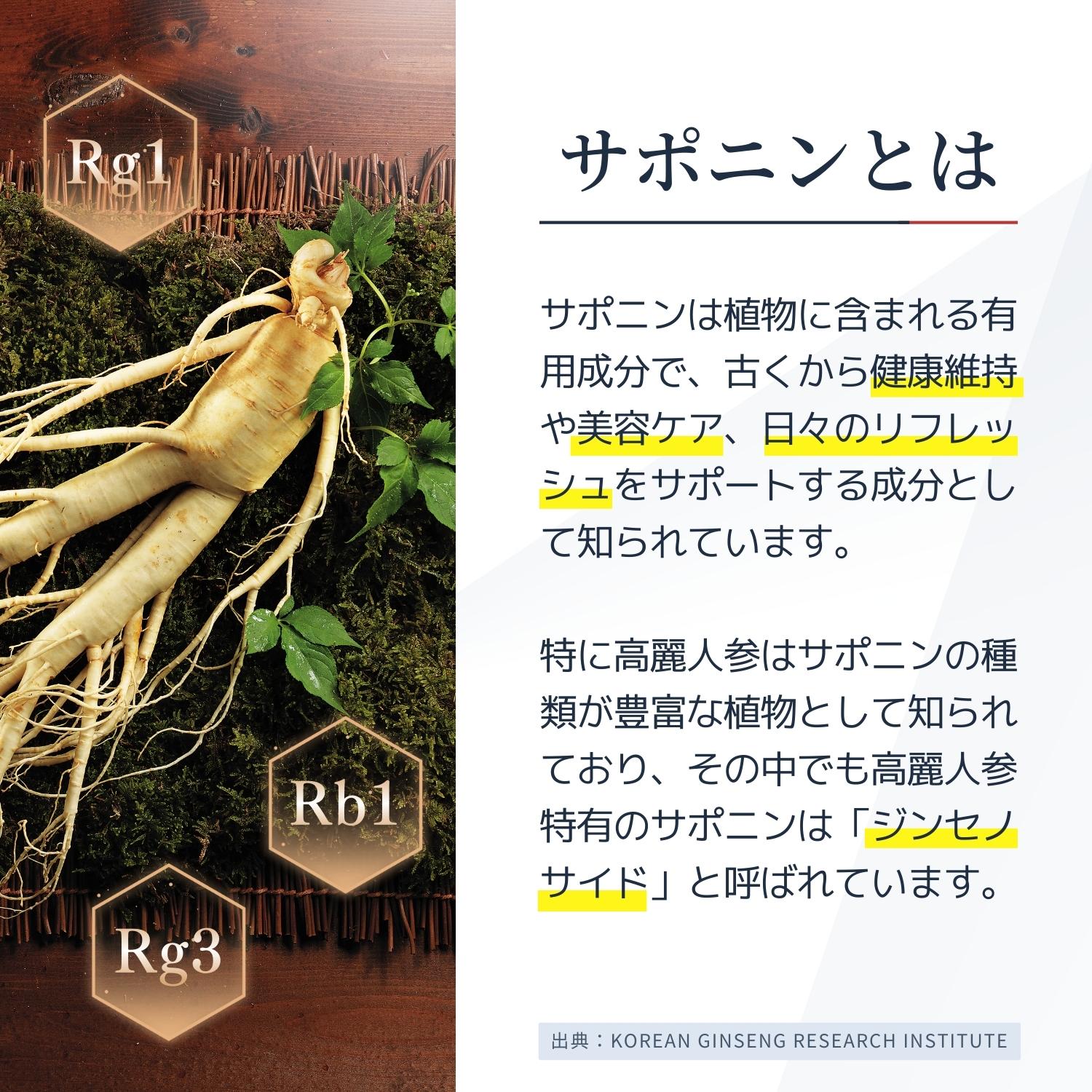 ザクロ・紅参(ホンサム)