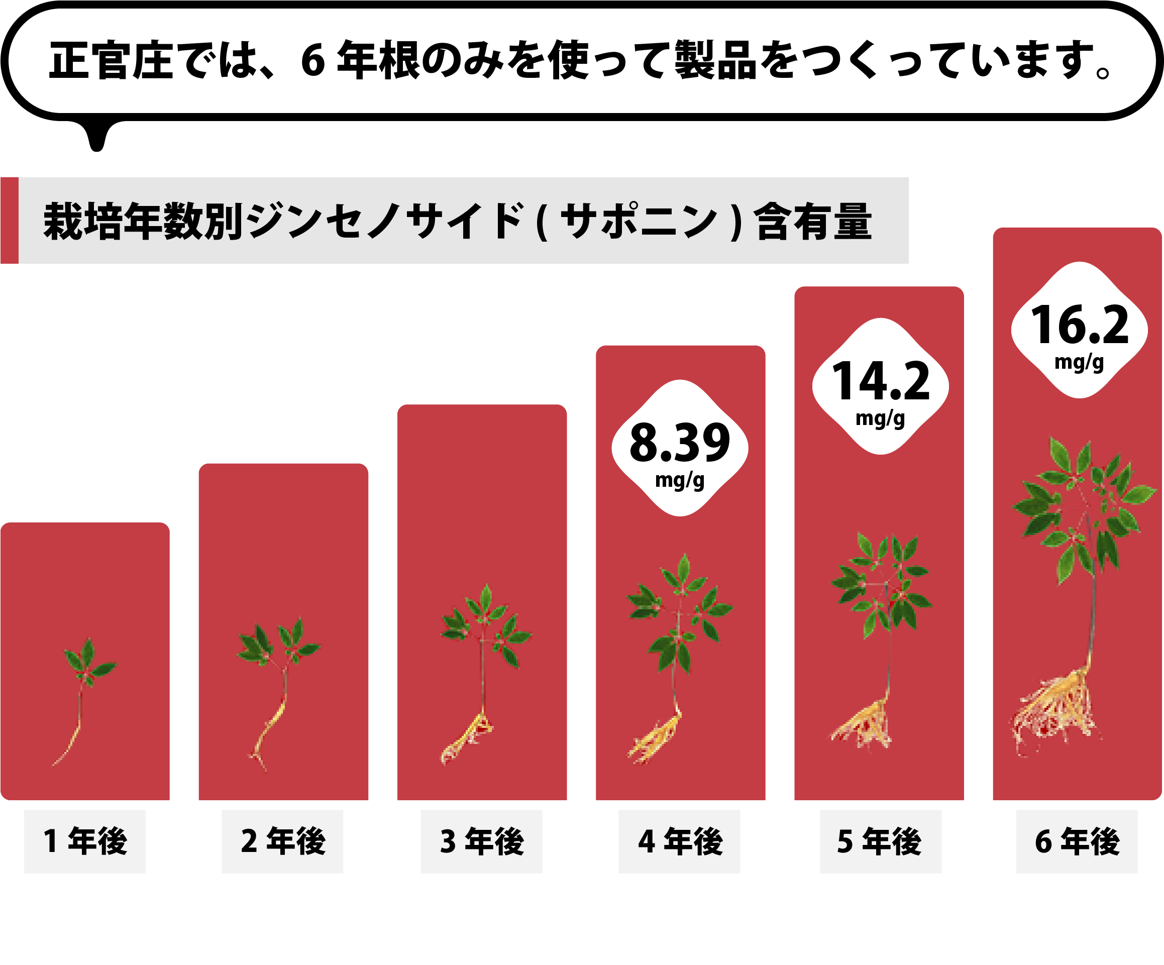 しょくぱんまんさん専用！8年根の紅参（姿）245g高麗人参 紅参 高麗人参の成分 ｜ 正官庄ネットショップ