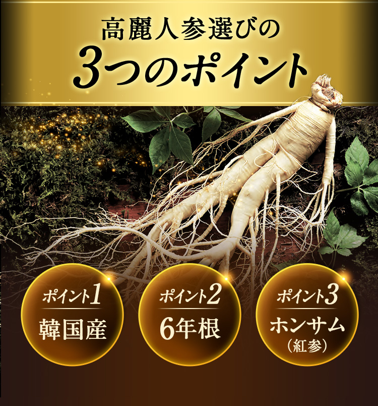 正官庄×東方神起□初回50%OFF□紅参タブレット定期コース