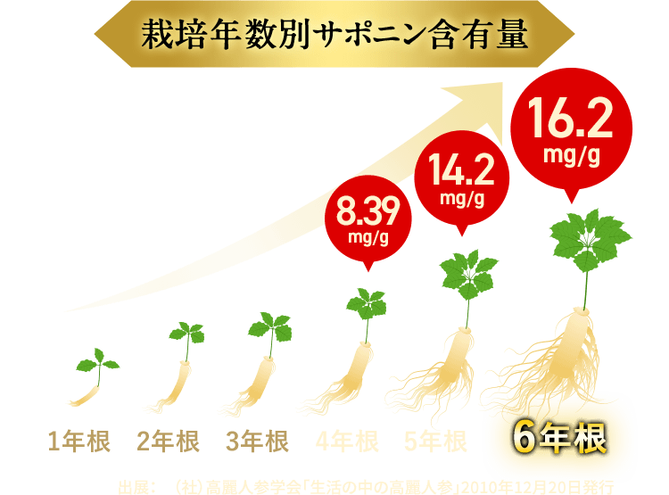 正官庄 紅参タブレット体験版（28粒）500円でお試しキャンペーン