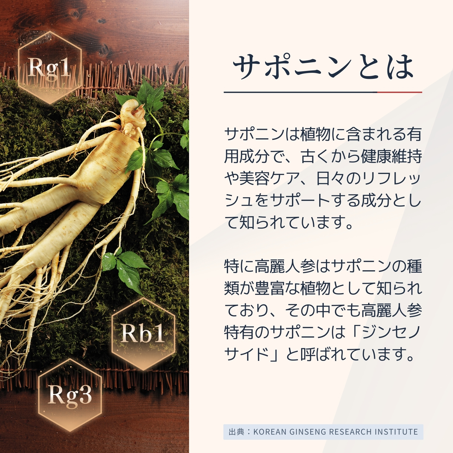 紅参精 エブリタイム ｜ 正官庄ネットショップ
