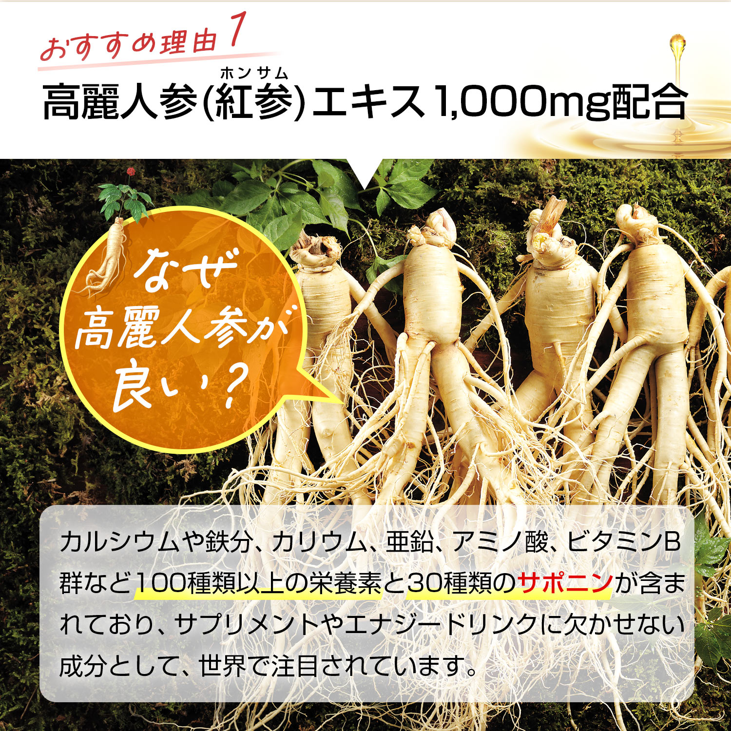 紅参精 エブリタイム ザクロ 20包 ｜ 正官庄ネットショップ