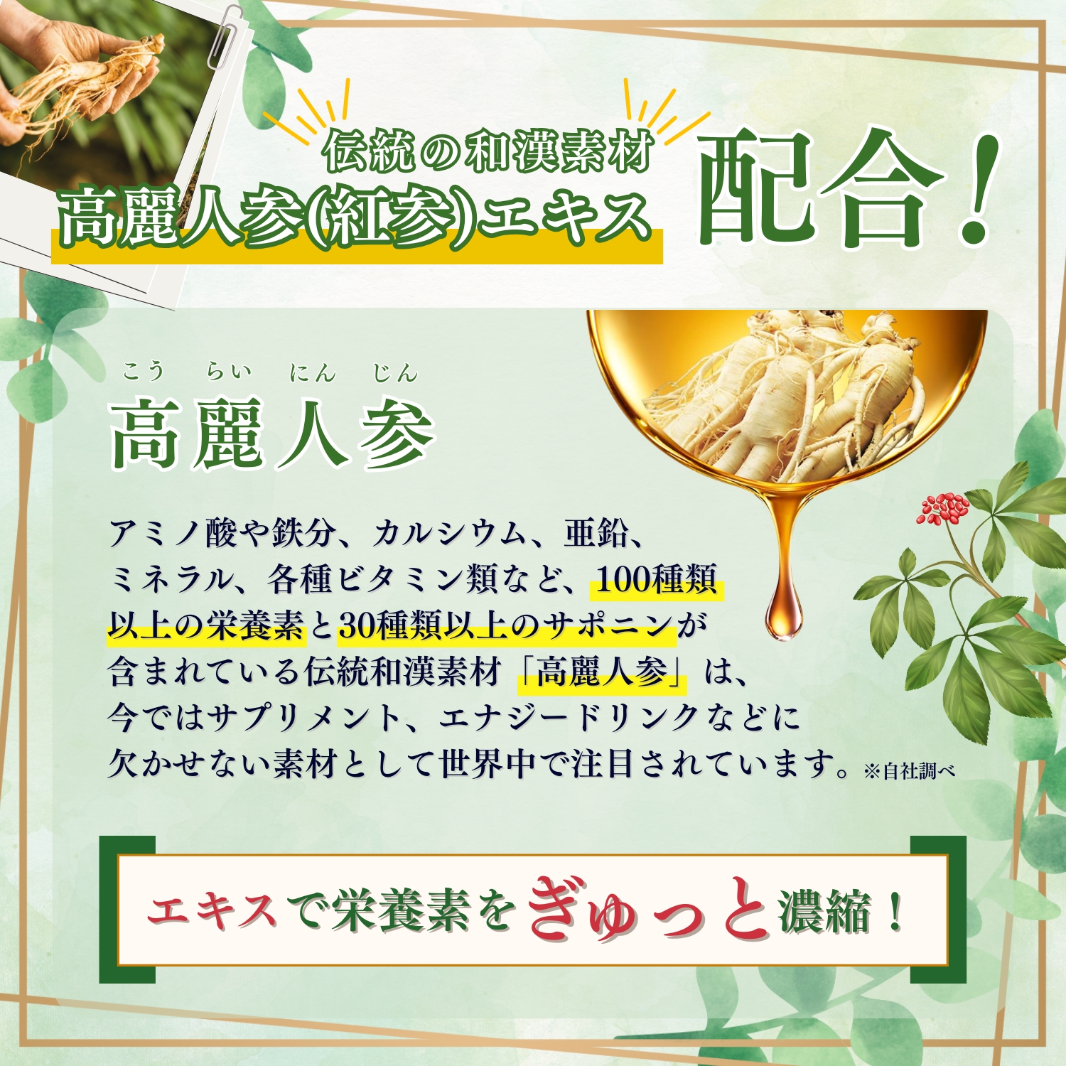 ザクロ・紅参(ホンサム) ｜ 正官庄ネットショップ